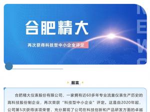 合肥精大儀表股份有限公司再次獲得科技型中小企業評