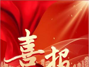 喜報！精大儀表被認定為 合肥市大數據企業